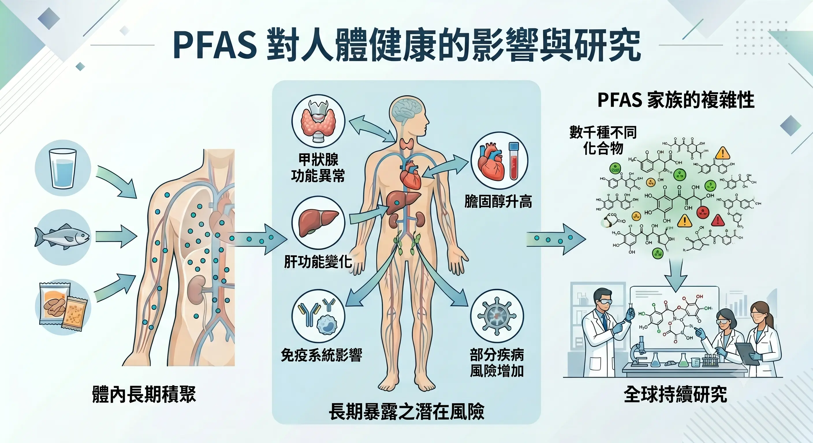 PFAS對人體健康的影響與研究流程圖