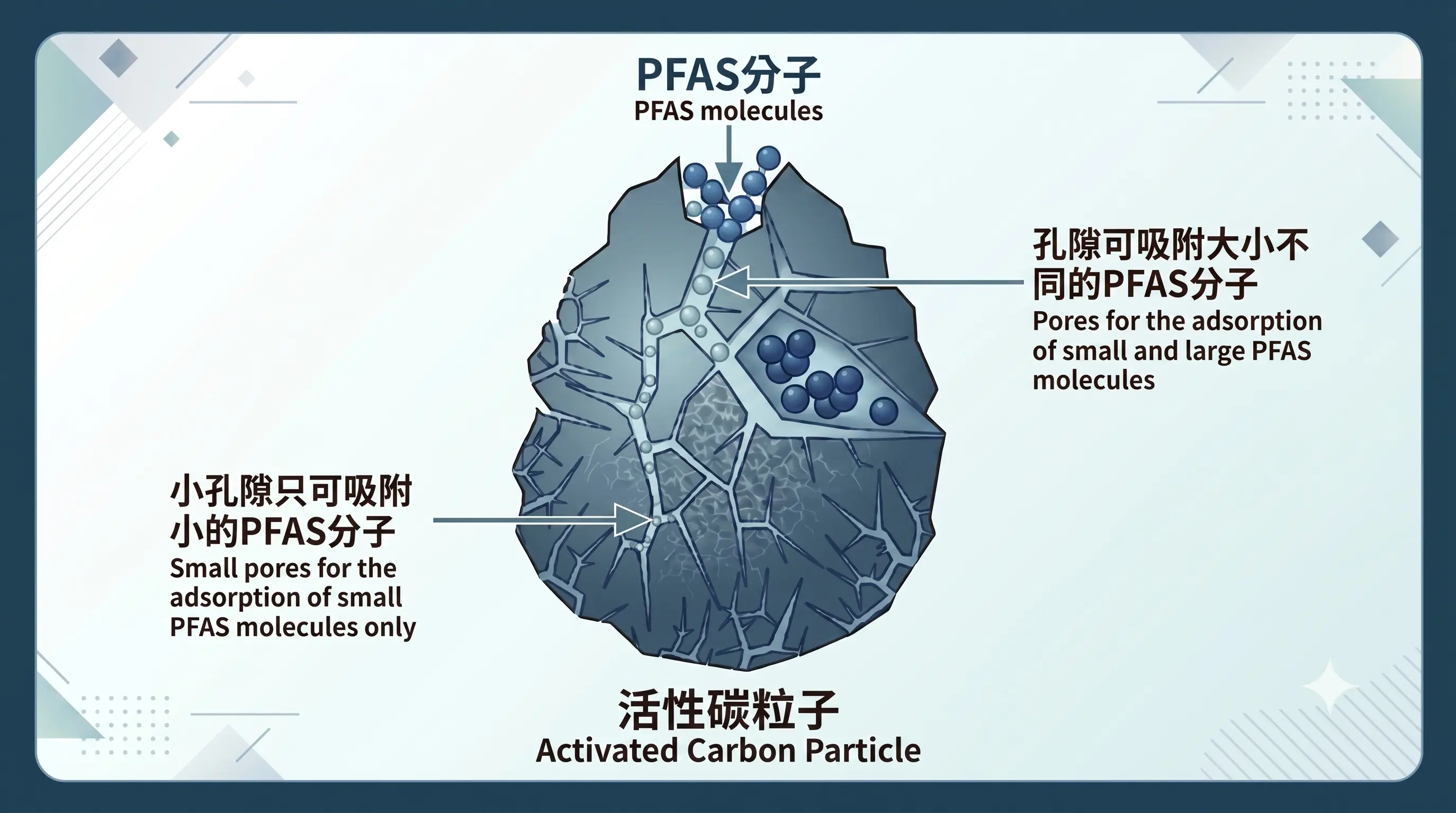 活性碳粒子對PFAS分子有效吸附說明圖